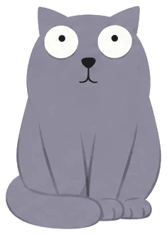 Moki, a grey cat, sitting and staring straight ahead